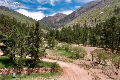 5975 Wellington Road, Cascade, CO 80809 - Photo 3