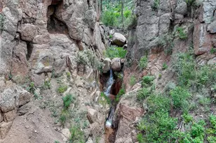 5975 Wellington Rd, Cascade, CO 80809 - Photo 5