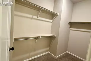 6742 Golden Briar Ln, Colorado Springs, CO 80927 - Photo 21