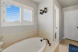 19915 Alexandria Dr, Monument, CO 80132 - Photo 21