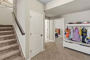 19915 Alexandria Dr, Monument, CO 80132 - Photo 35