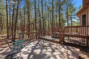 16206 Red Fox Ln, Colorado Springs, CO 80921 - Photo 43