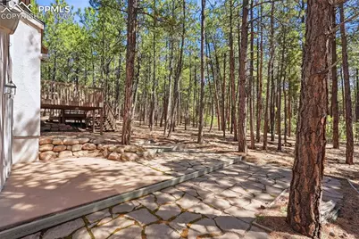 16206 Red Fox Lane, Colorado Springs, CO 80921 - Photo 47