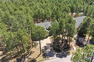 16206 Red Fox Ln, Colorado Springs, CO 80921 - Photo 3