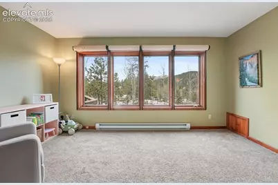 220 Morning Sun Drive, Woodland Park, CO 80863 - Photo 19