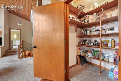220 Morning Sun Drive, Woodland Park, CO 80863 - Photo 35