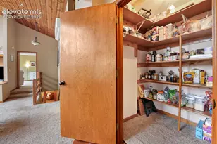 220 Morning Sun Dr, Woodland Park, CO 80863 - Photo 35