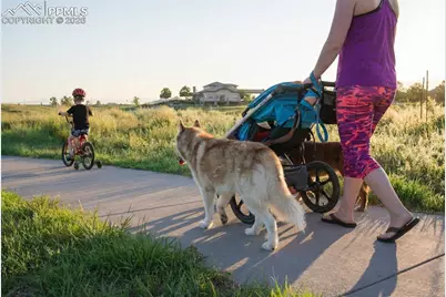 10790 Rolling Peaks Drive, Peyton, CO 80831 - Photo 35