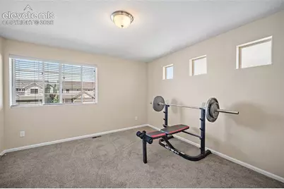 8345 Longleaf Lane, Colorado Springs, CO 80927 - Photo 21