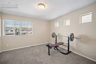 8345 Longleaf Ln, Colorado Springs, CO 80927 - Photo 21