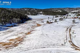 36 Valley Cir, Guffey, CO 80820 - Photo 23