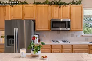 9448 Cairngorm Way, Colorado Springs, CO 80908 - Photo 13