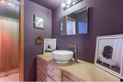 747 Pinon Ridge Drive, Woodland Park, CO 80863 - Photo 21