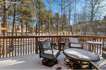 747 Pinon Ridge Drive, Woodland Park, CO 80863 - Photo 25