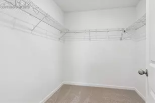 870 Tenebris Pt, Colorado Springs, CO 80915 - Photo 17