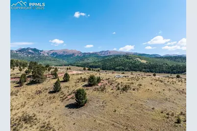 11893 S Highway 67, Divide, CO 80814 - Photo 3