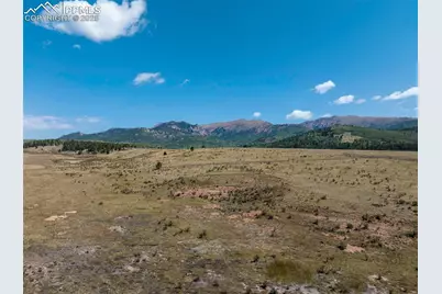 11893 S Highway 67, Divide, CO 80814 - Photo 17