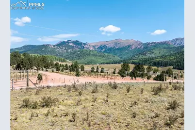 11893 S Highway 67, Divide, CO 80814 - Photo 9
