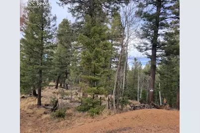 180 Sentinel Way, Florissant, CO 80816 - Photo 1