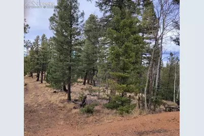 180 Sentinel Way, Florissant, CO 80816 - Photo 3