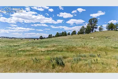 17395 Twinkling Star Lane, Colorado Springs, CO 80908 - Photo 13