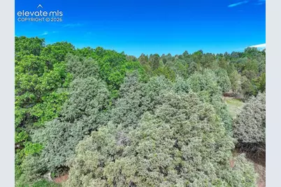 3585 Twisted Oak Circle, Colorado Springs, CO 80904 - Photo 7