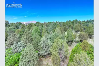 3585 Twisted Oak Circle, Colorado Springs, CO 80904 - Photo 3