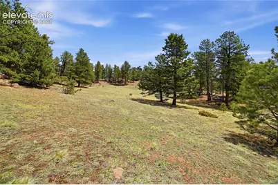 7070 County Road 1, Cripple Creek, CO 80813 - Photo 15