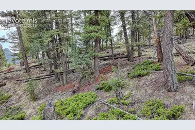 918 Pinon Lane, Florissant, CO 80816 - Photo 11