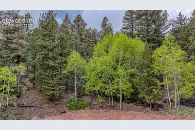 918 Pinon Lane, Florissant, CO 80816 - Photo 23