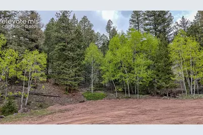 918 Pinon Lane, Florissant, CO 80816 - Photo 1