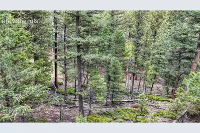 918 Pinon Lane, Florissant, CO 80816 - Photo 15