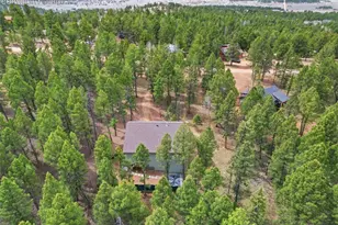 294 Southpark Rd, Florissant, CO 80816 - Photo 25