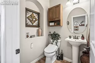 16231 Thunder Cat Wy, Monument, CO 80132 - Photo 37