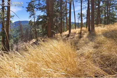 11070 W Highway 24, Cascade, CO 80819 - Photo 25