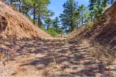 11070 W Highway 24, Cascade, CO 80819 - Photo 39