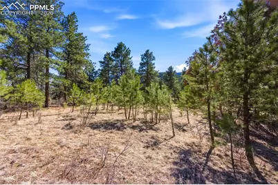 11070 W Highway 24, Cascade, CO 80819 - Photo 31