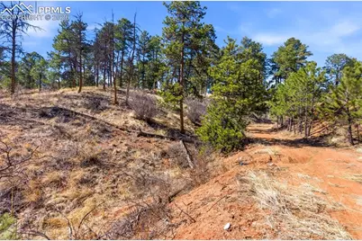 11070 W Highway 24, Cascade, CO 80819 - Photo 21