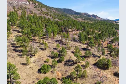 11070 W Highway 24, Cascade, CO 80819 - Photo 11