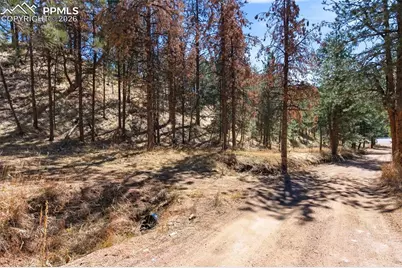 11070 W Highway 24, Cascade, CO 80819 - Photo 43