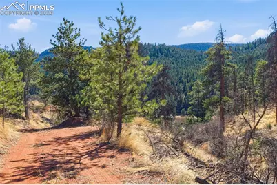 11070 W Highway 24, Cascade, CO 80819 - Photo 23