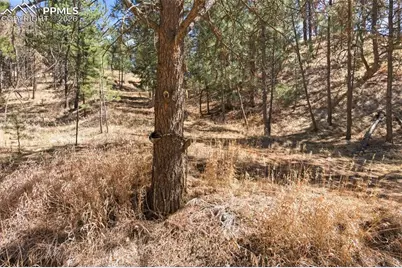 11070 W Highway 24, Cascade, CO 80819 - Photo 41