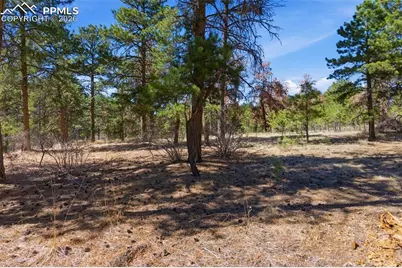 11070 W Highway 24, Cascade, CO 80819 - Photo 35