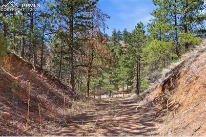 11070 W Highway 24, Cascade, CO 80819 - Photo 29