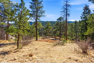 11070 W Highway 24, Cascade, CO 80819 - Photo 35