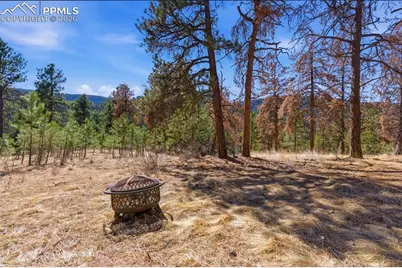 11070 W Highway 24, Cascade, CO 80819 - Photo 31