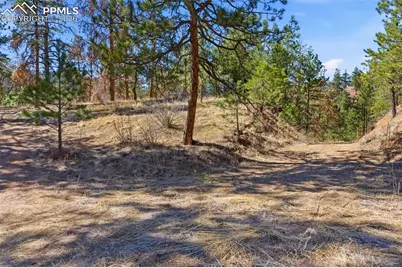11070 W Highway 24, Cascade, CO 80819 - Photo 29