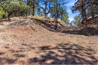 11070 W Highway 24, Cascade, CO 80819 - Photo 39