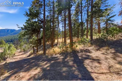 11070 W Highway 24, Cascade, CO 80819 - Photo 37