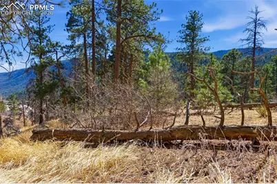 11070 W Highway 24, Cascade, CO 80819 - Photo 33